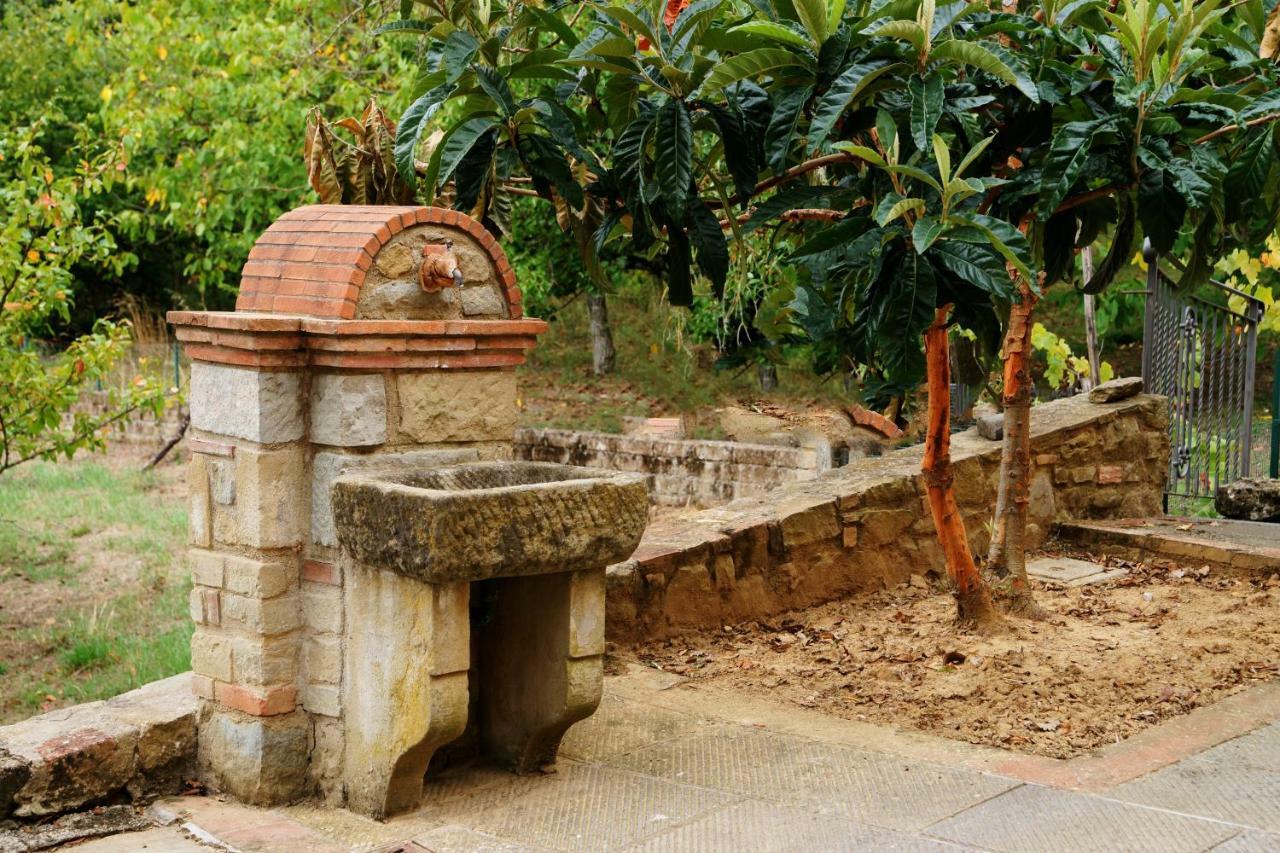 Podere Del Griccia 시비텔라인발디키아나 외부 사진